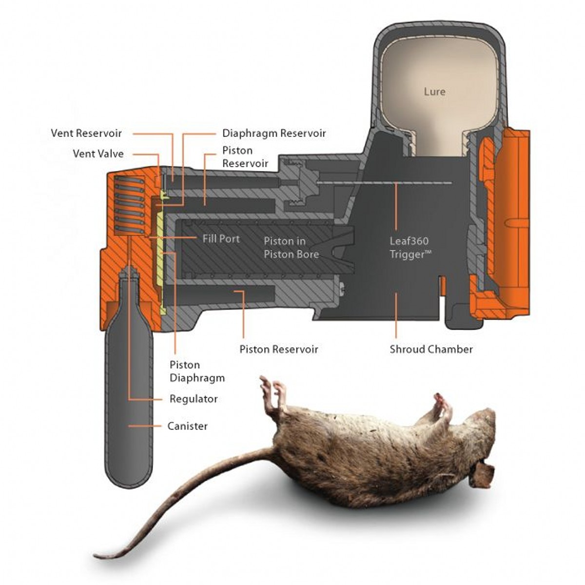 Goodnature A24 Rat Trap & Counter | Cambers Country Store