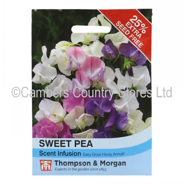 Thompson & Morgan Sweet Pea Scent Infusion | Cambers Country Store