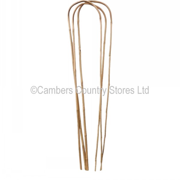 Bamboo Arch Loop Plant Support 5 Pack Cambers Country Store