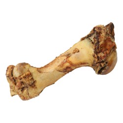 Roasted Whole Jurassic Bone