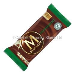 Walls Magnum Mint Chocolate 110ml