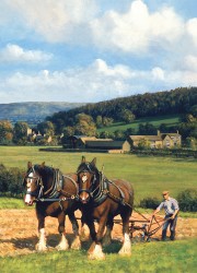 Country Cards Working Horses