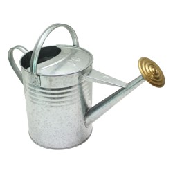 Draper Galvanised Watering Can 9 Litre / 2 Gallon