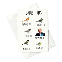 Prickly Greeting Cards British Tits