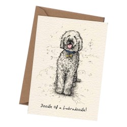 Bewilderbeest Greeting Card Labradoodle Doodle