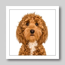 Gruff Pawtrait Greeting Card Cockerpoo