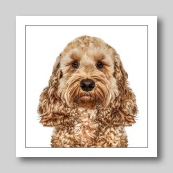 Gruff Pawtrait Greeting Card Golden Cockerpoo