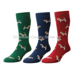 Bisley Hound Socks