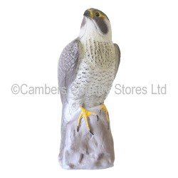 Sport Plast Peregrine Falcon