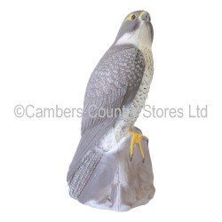 Sport Plast Peregrine Falcon