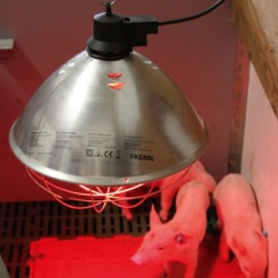 Kerbl Infra Red Reflector Heater Lamp 35cm