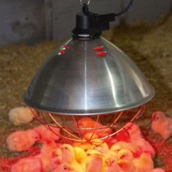 Kerbl Infra Red Reflector Heater Lamp 35cm