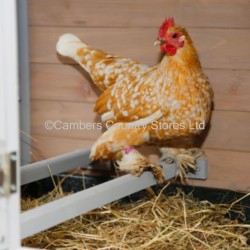 Kerbl Bonny Chicken Apartment With Garden