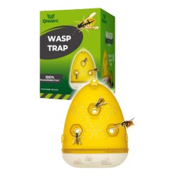 Organ-X Wasp Trap