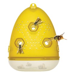 Organ-X Wasp Trap