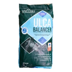 Spillers Ulca Balancer 15kg