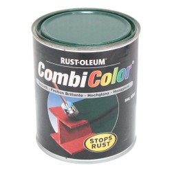 Rustoleum Combicolor Paint 750ml