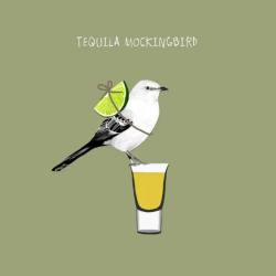 Sally Scaffardi Design Card Tequila Mockingbird