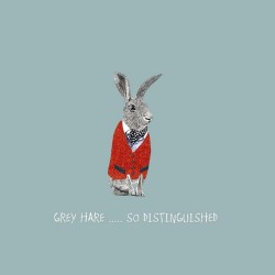 Sally Scaffardi Design Card Grey Hare So Distinguished