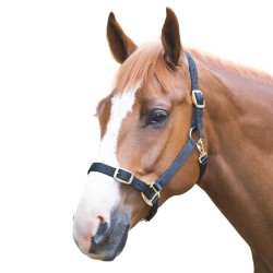 Shires Adjustable Headcollar