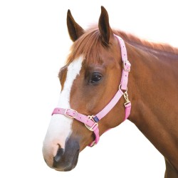 Shires Adjustable Headcollar