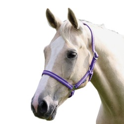 Shires Wessex Headcollar