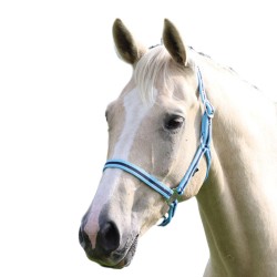 Shires Wessex Headcollar