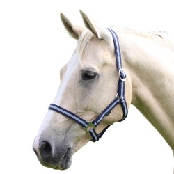 Shires Wessex Headcollar