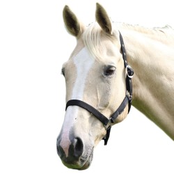 Shires Wessex Headcollar