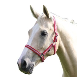 Shires Wessex Headcollar