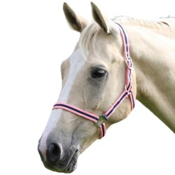 Shires Wessex Headcollar