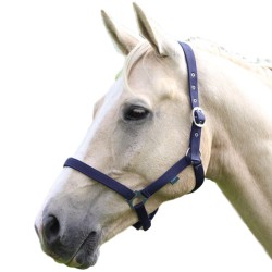 Shires Wessex Headcollar