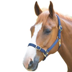 Shires Adjustable Headcollar