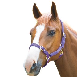 Shires Adjustable Headcollar