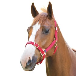 Shires Adjustable Headcollar