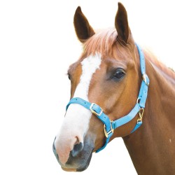 Shires Adjustable Headcollar