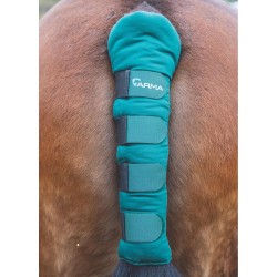 Shires ARMA Padded Tail Guard