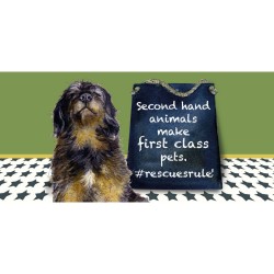 Little Dog Greeting Card Rescue Dog Rule