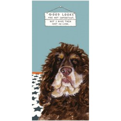 Little Dog Greeting Card Cocker Spaniel Good Looks