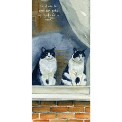 Little Dog Greeting Card Window Cats Rights