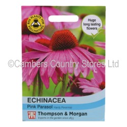 Thompson & Morgan Echinacea Pink Parasol | Cambers Country Store