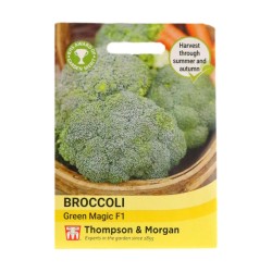 Thompson & Morgan Broccoli Green Magic F1