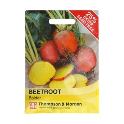 Thompson & Morgan Beetroot Boldor