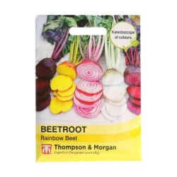 Thompson & Morgan Beetroot Rainbow Beet