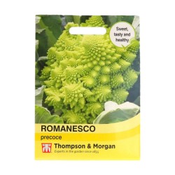 Thompson & Morgan Romanesco Precoce