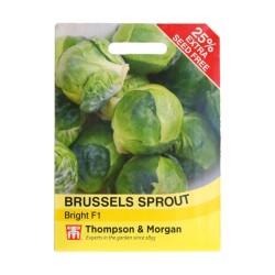 Thompson & Morgan Brussels Sprout Bright F1