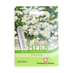 Thompson & Morgan Herb Chamomile