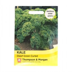 Thompson & Morgan Kale Dwarf Green Curled