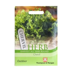 Thompson & Morgan Herb Chervil