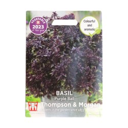 Thompson & Morgan Basil Purple Ball